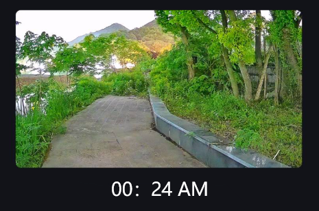 לראות בחושך: מדריך פשוט לאבטחת ראיית לילה מצלמות אור שחורות